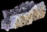 Purple Amethyst Cluster - Alacam Mine, Turkey #55374-1